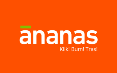 Ananas.rs – Da li je to regionalni Amazon?